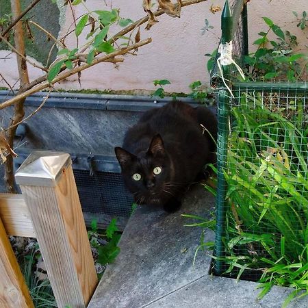 米兰Un Insospettabile Angolo Verde In Citta公寓 外观 照片